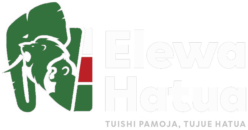 Elewa Hatua
