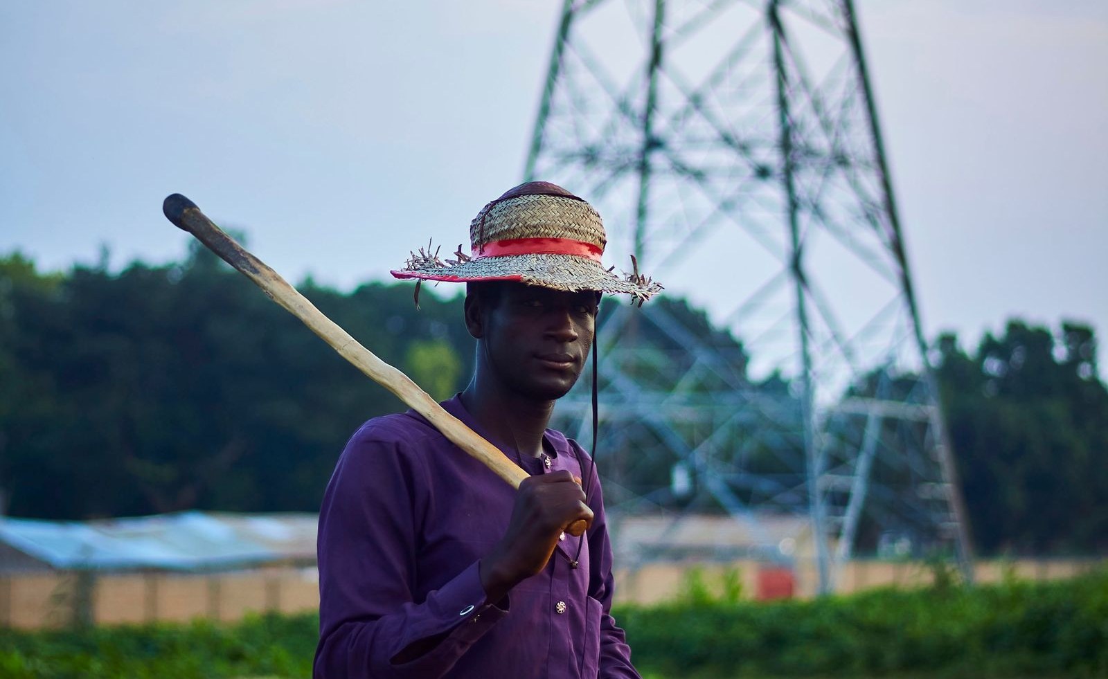 A farmer in a straw hat herding cattle on open ground
