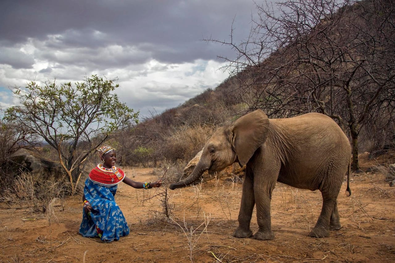 A Samburu woman and a young elephant sharing ground in Samburu County