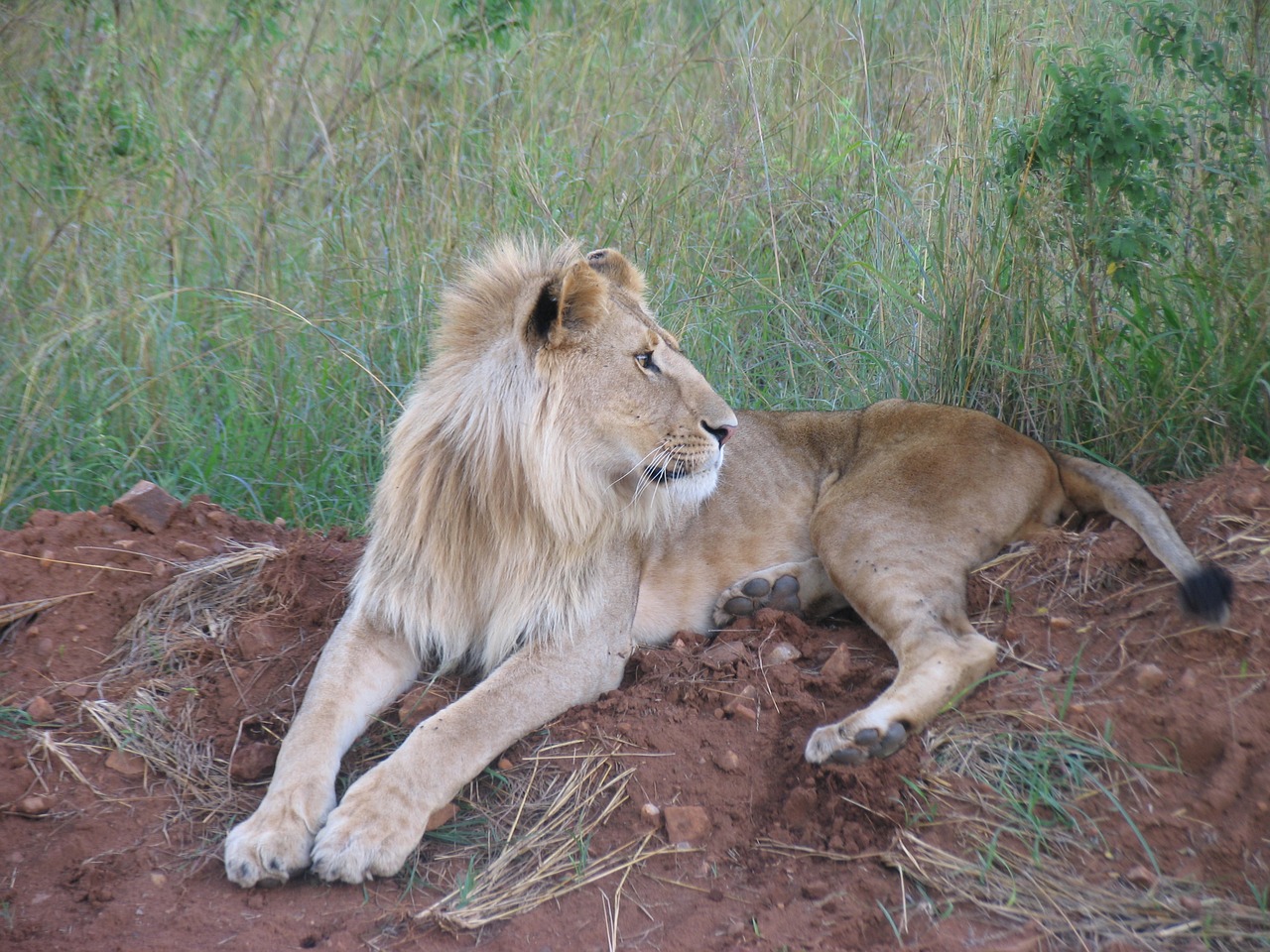 Wildlife and community sharing the Kenyan landscape